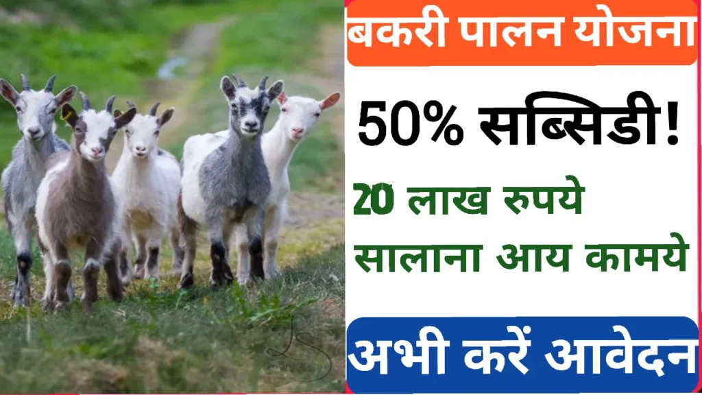 Bakari palan loan yojana