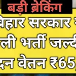 Bihar Junior Resident Recruitment 2025